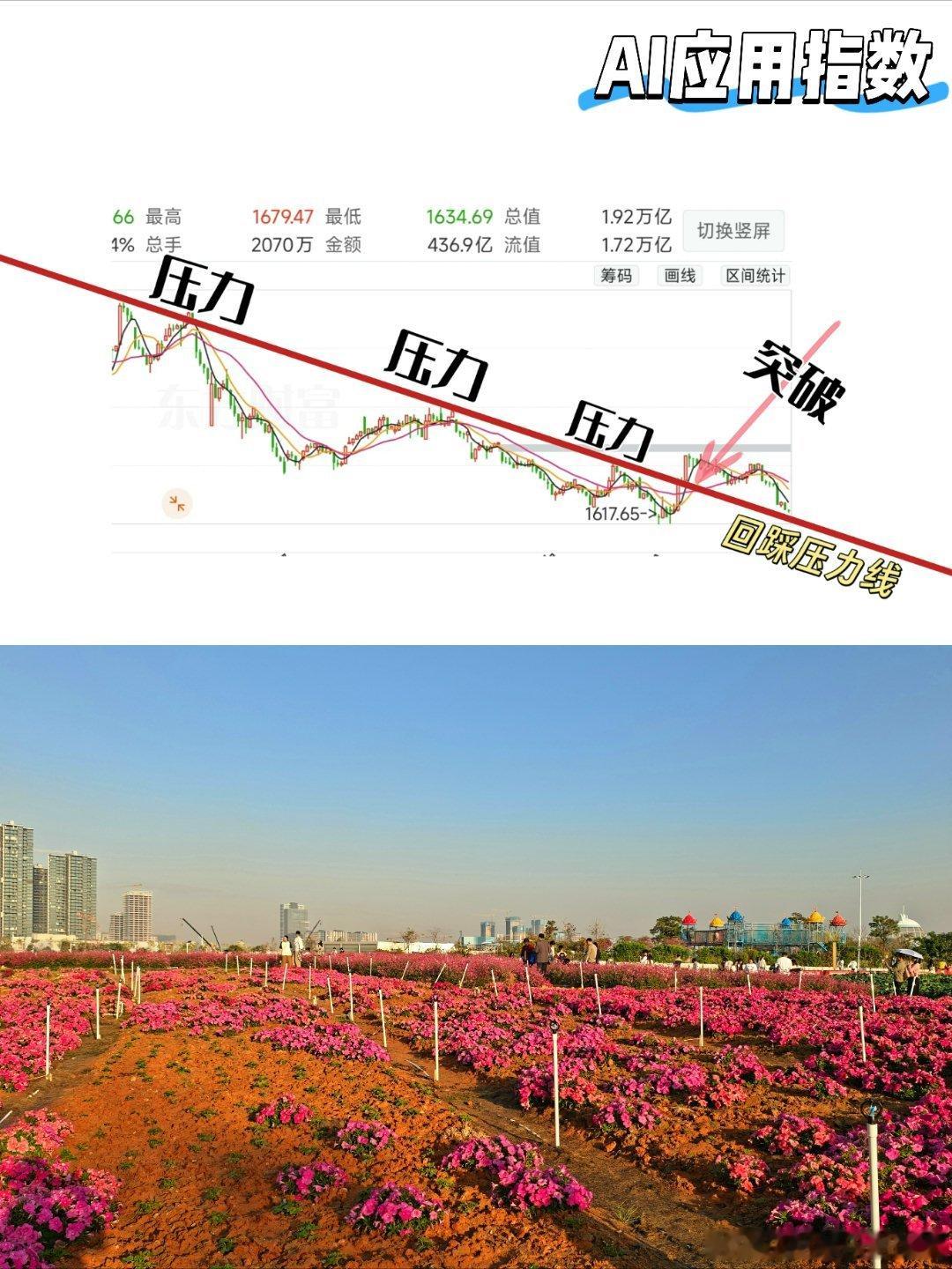 反正冬季＿无所事事超短＿也可以看看＿娱乐娱乐AI应用这一块＿超短也不是完全没有希