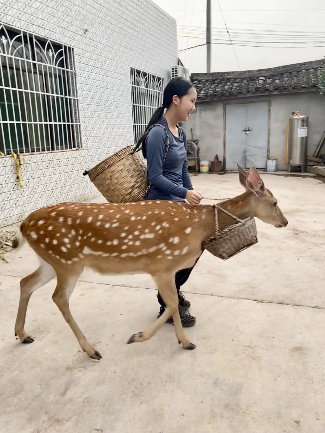 Gosh ！ LULU你是想上热搜吗