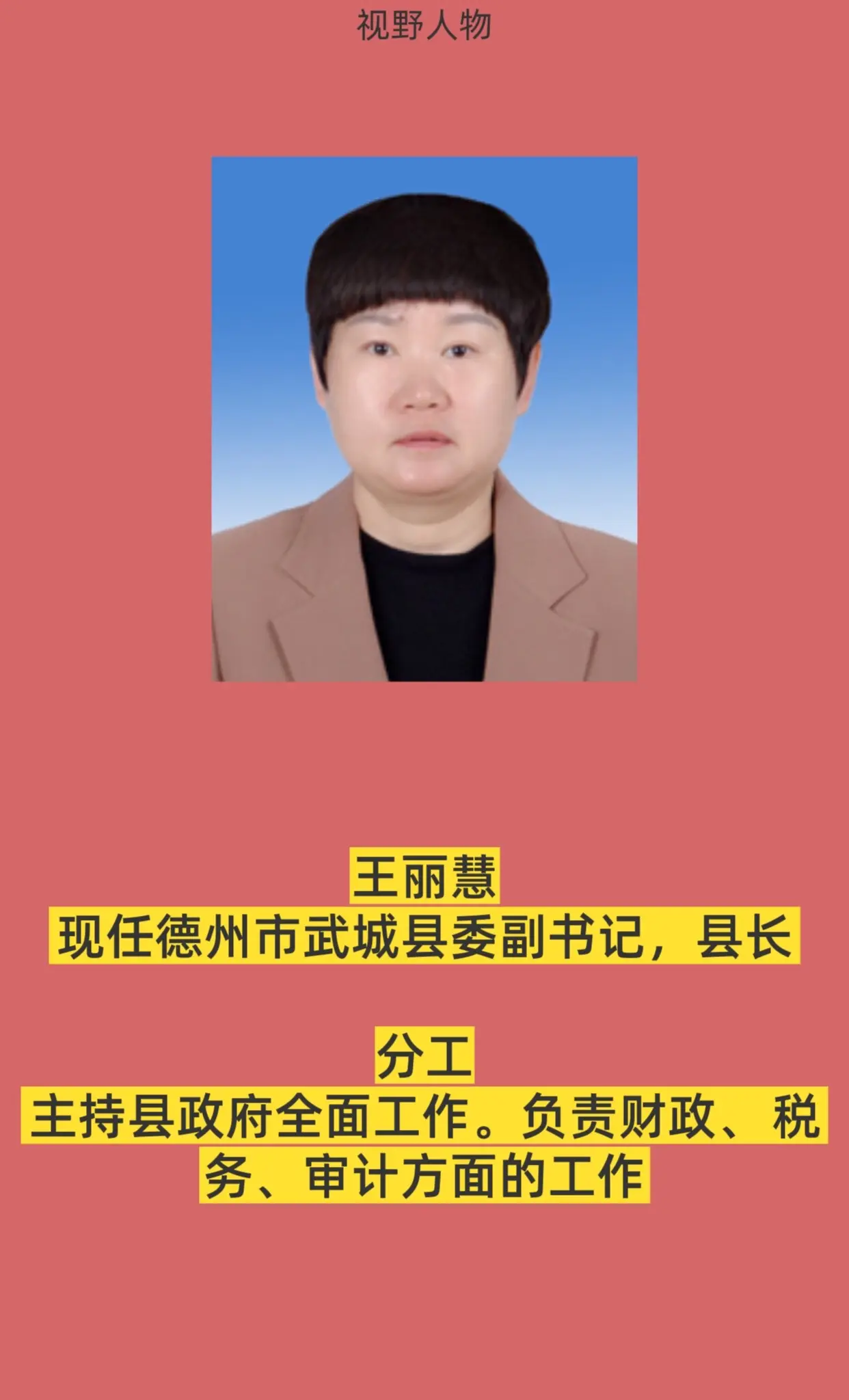 德州武城县政府领导。