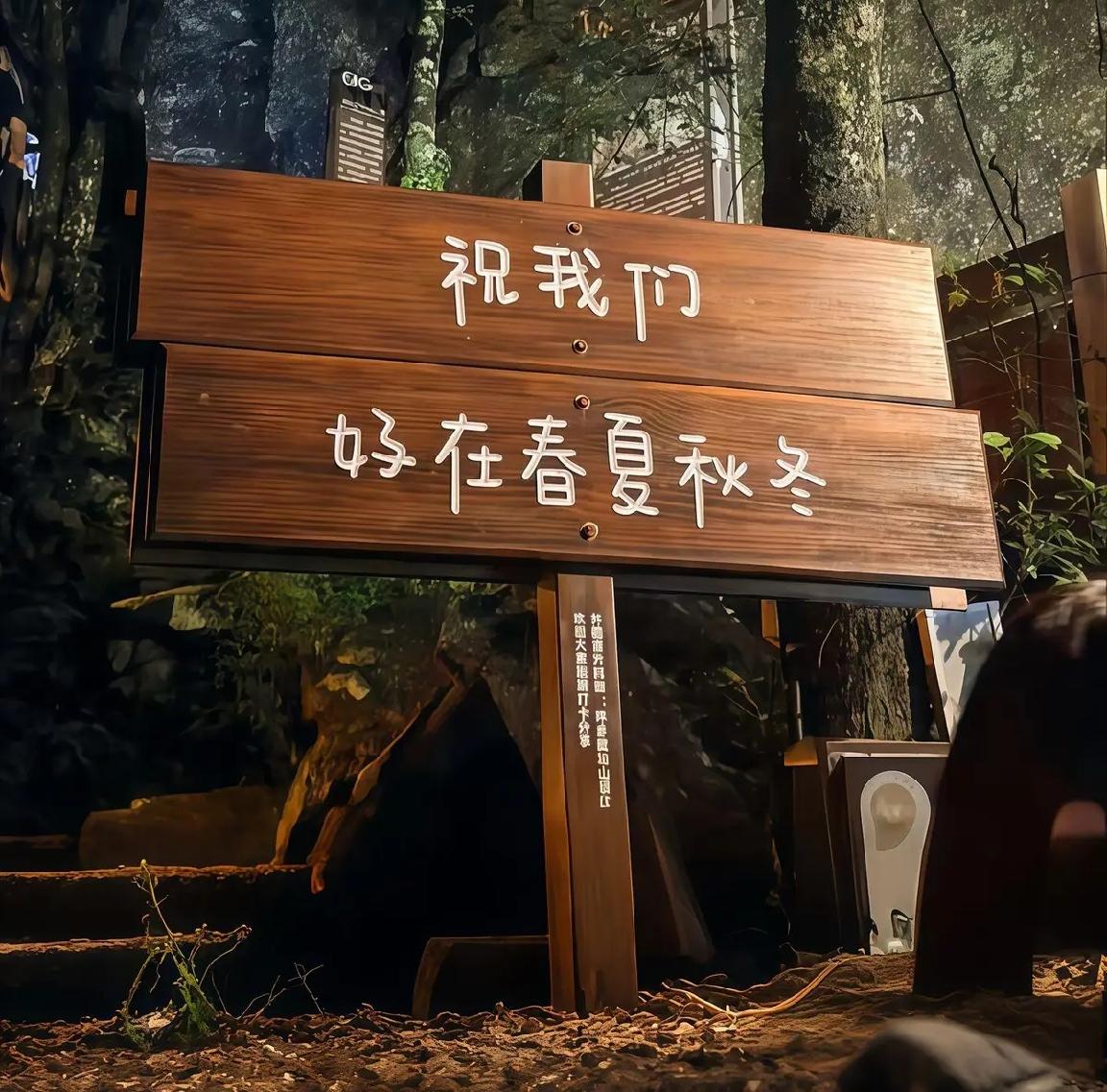 “期待”这个词有多滚烫

“失望”这个词就有多寒凉。

“以后”这个词有多美好，
