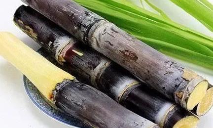 甘蔗立大功？医生发现：甘蔗可能对这3种慢性病有好处，可以常吃

很多人一提到甘蔗