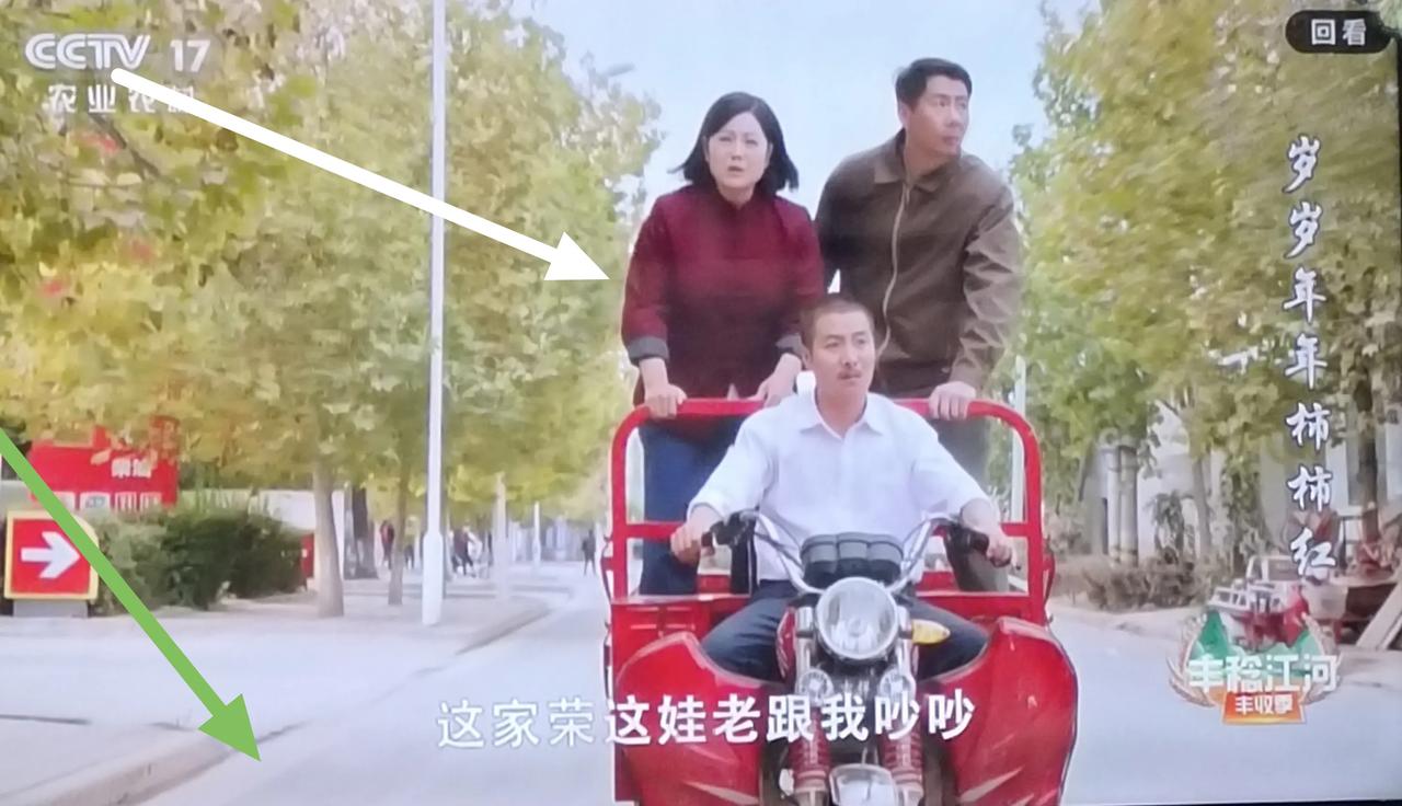 《歲歲年年柿柿紅》:馬路上注意安全？？？