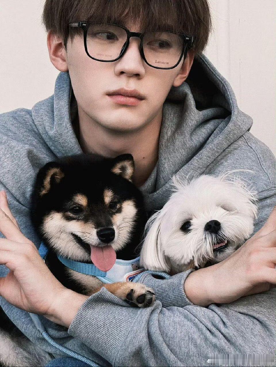 周翊然撒狗粮撒到我的心巴上 周翊然和狗狗互动的样子好温柔[心][爱慕]和狗狗互动