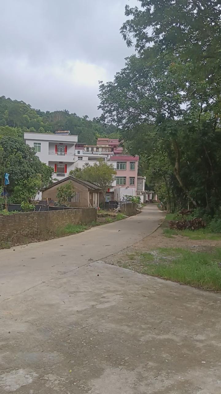 “老家建房=稳赚不赔？比城里买房更聪明的选择，第3点太扎心！”

厌倦了城市的喧