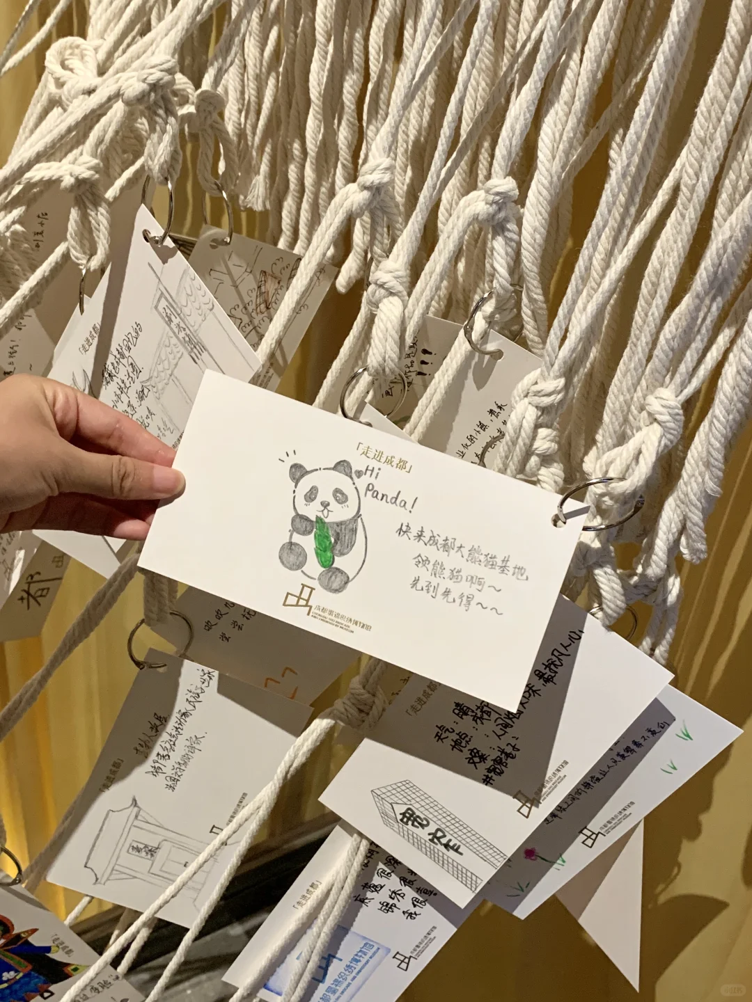 成都！被严重低估的博物馆！人好少啊！