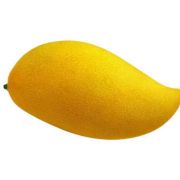 湖南娱综艺粉丝汇