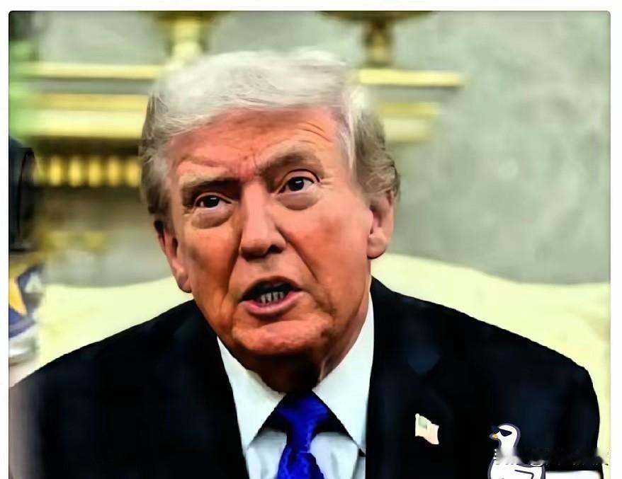 刚刚刷到特朗普的新闻，差点把刚喝进去的茶喷出来。
2月11日，特朗普突然宣布，把