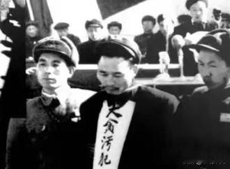 “拉出去枪毙！”毛主席一声呵斥，惊得周总理和聂荣臻连忙从沙发上站起来，而旁边的地