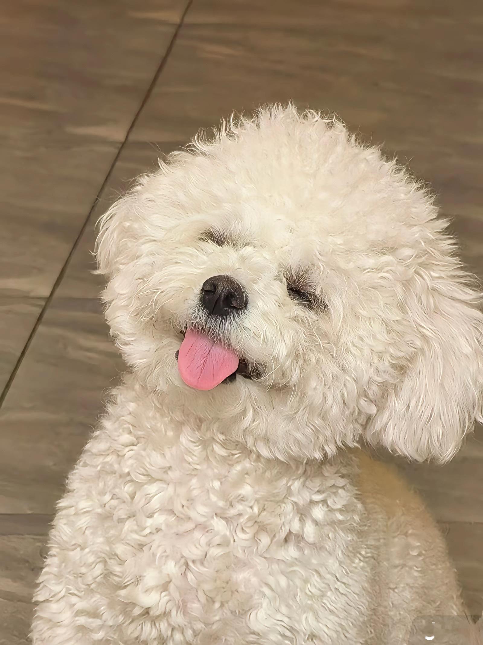 今晚最动听的六个字：后面进组拍戏 