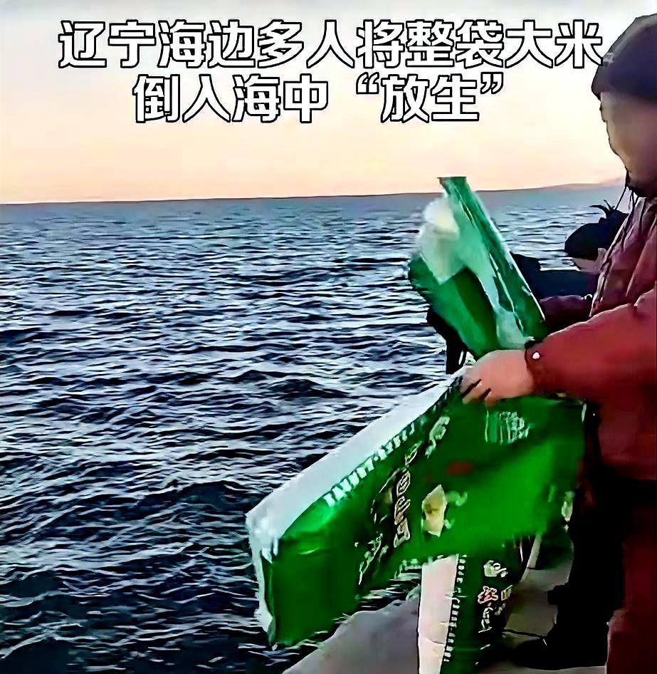 吃饱了撑的！
据报道，辽宁葫芦岛多人往海里倾倒大米，口中还念念有词。
说是放生大