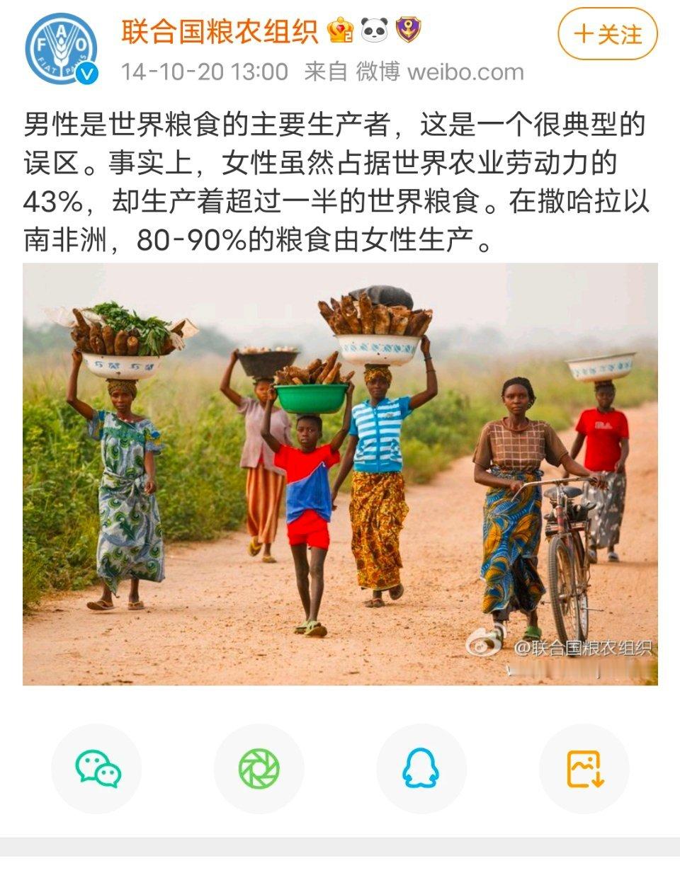农民婆婆 ​​​