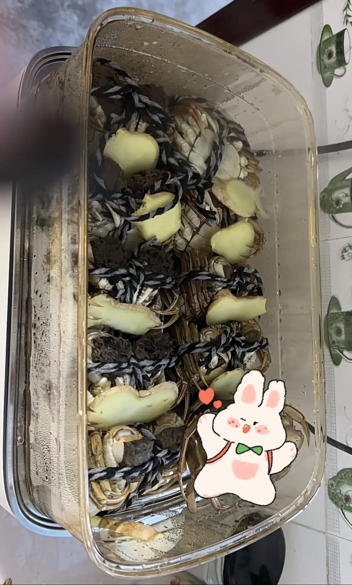 你就吃吧  一吃一个不吱声