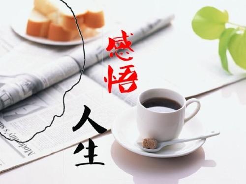 心术不正难富贵，狡诈之人必自毁

心机深沉难长久，虚伪之辈终自败

处事但求厚道