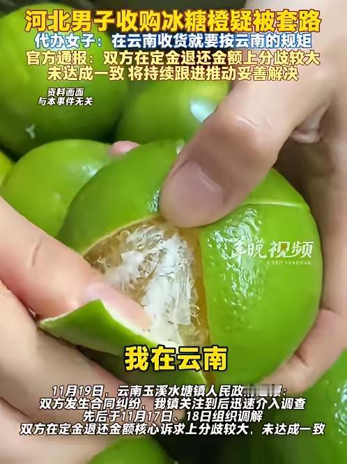 女子凭一己之力把果农干翻

老李，河北来的，做电商的，跑到云南水塘镇去收冰糖橙，