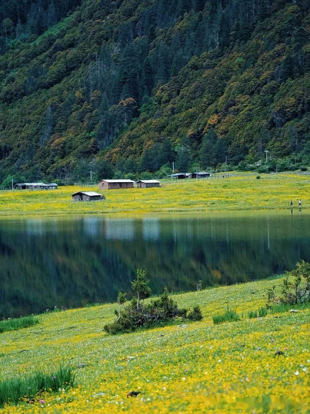 在这喧嚣繁忙的世界里，总有一些隐秘的风景，如诗如画，宛若世外桃源～ ​​​