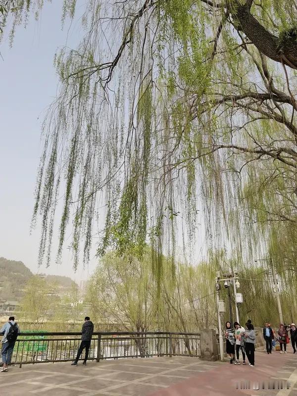 看到这个上联“河边看柳知风态”，瞬间就有画面感了。站在河边，看着柳树随风摇曳，那