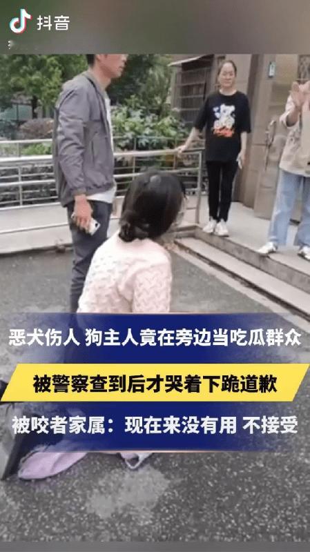 不接受！恶犬咬伤人，狗主主下跪道歉。被咬家属愤怒回应：“现在没有用了，不接受！”