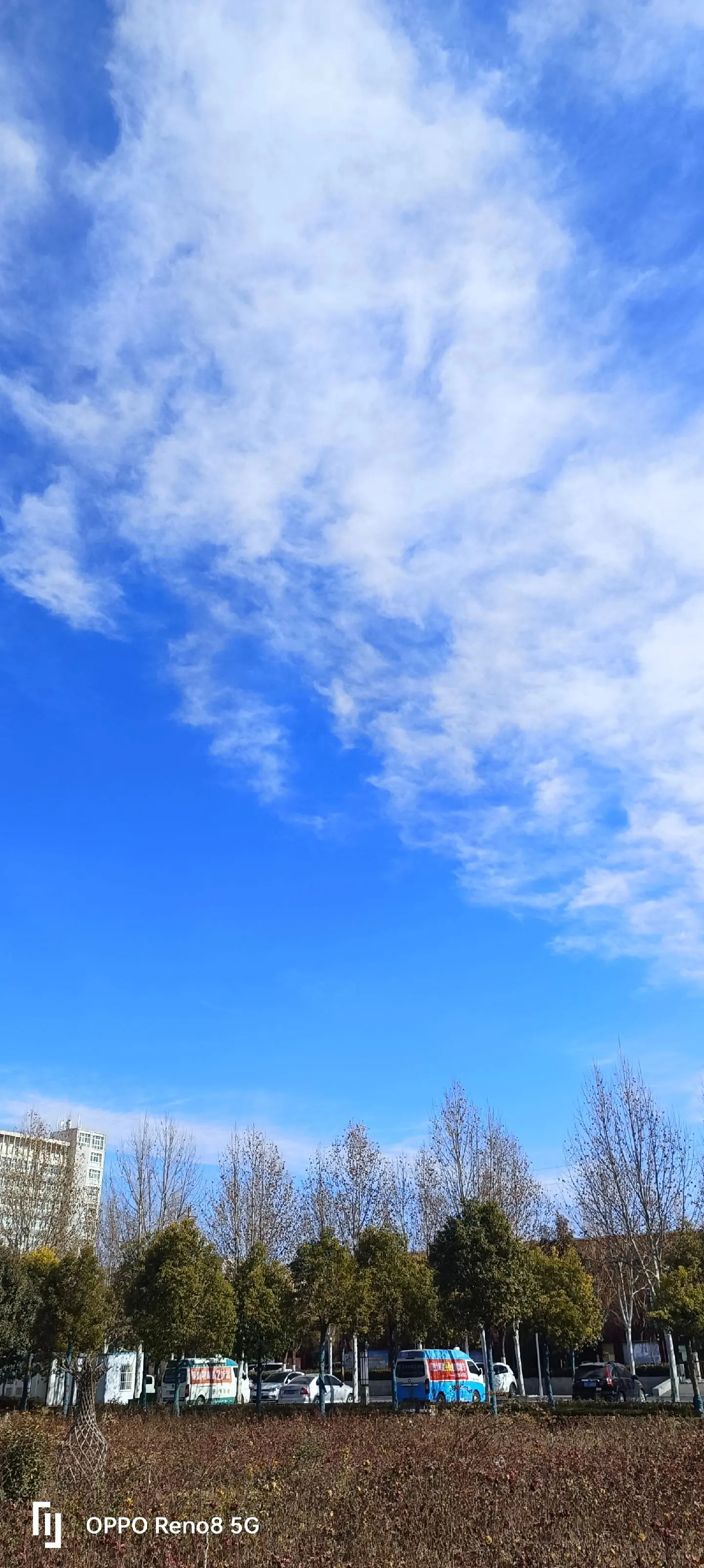 天蓝蓝水清清（冬日美景）