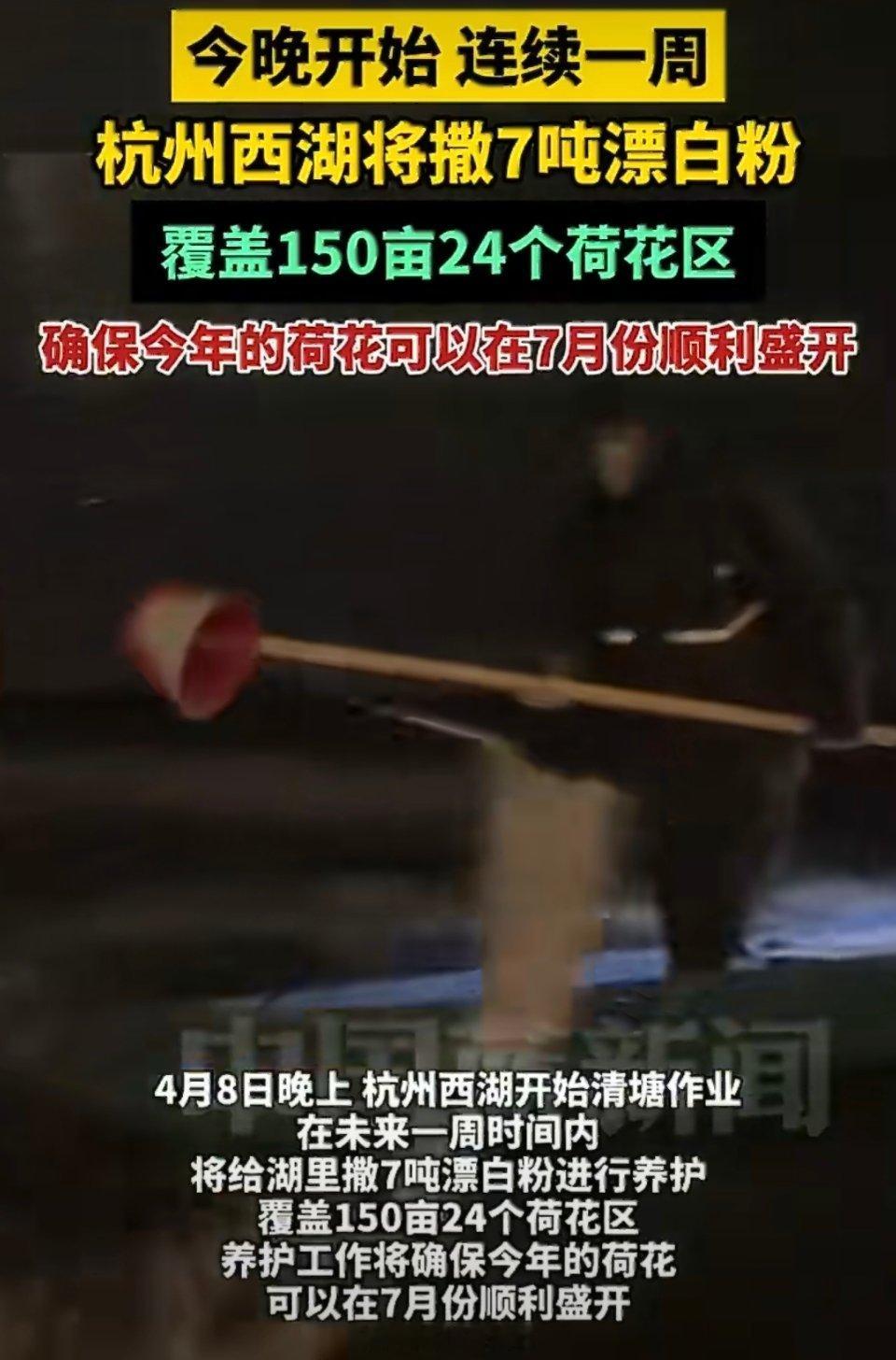 杭州西湖将连续一周撒7吨漂白粉向水体中添加漂白粉的真实意图并非实施化学清除，而是