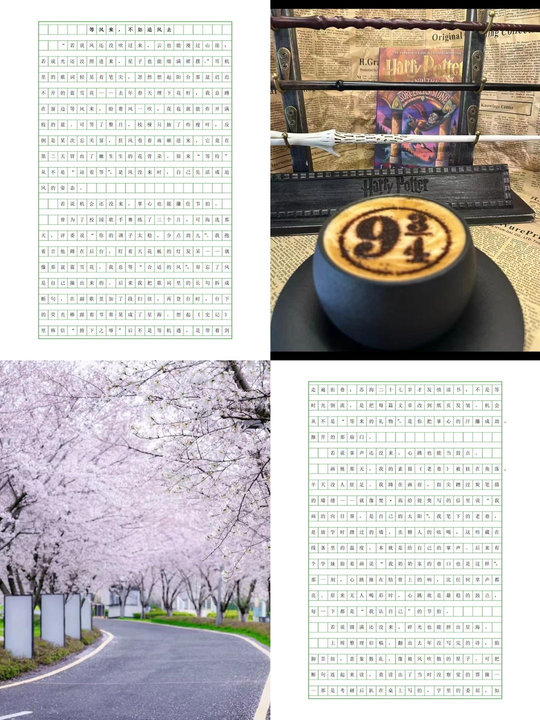 等风来，不如追风去