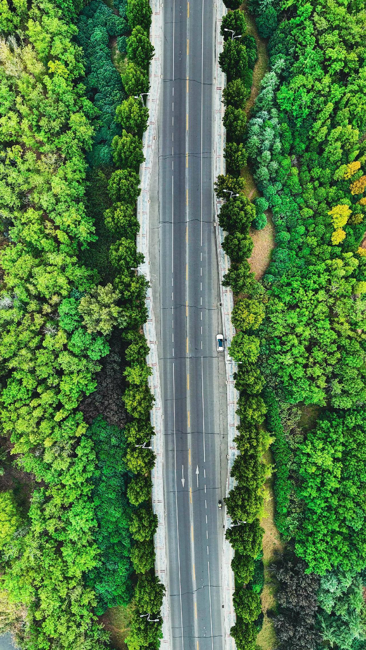 运河旁边的一条路。#航拍 #大疆迷你4pro 
#记录每一天