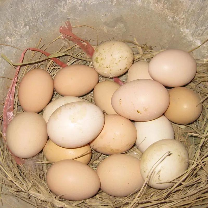 看了315以后，我对吃的特别重视，以后尽量少买这些食品。

一、馒头最好自己蒸，