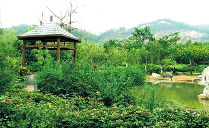 米老师得了肺癌，陪伴她的是亲生女儿，大把出钱的是养女。手术后的她已经活了七年了，