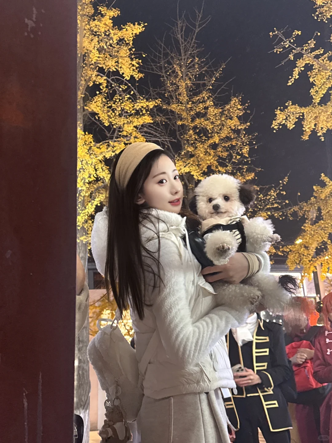 被狗狗治愈的时光❤️
