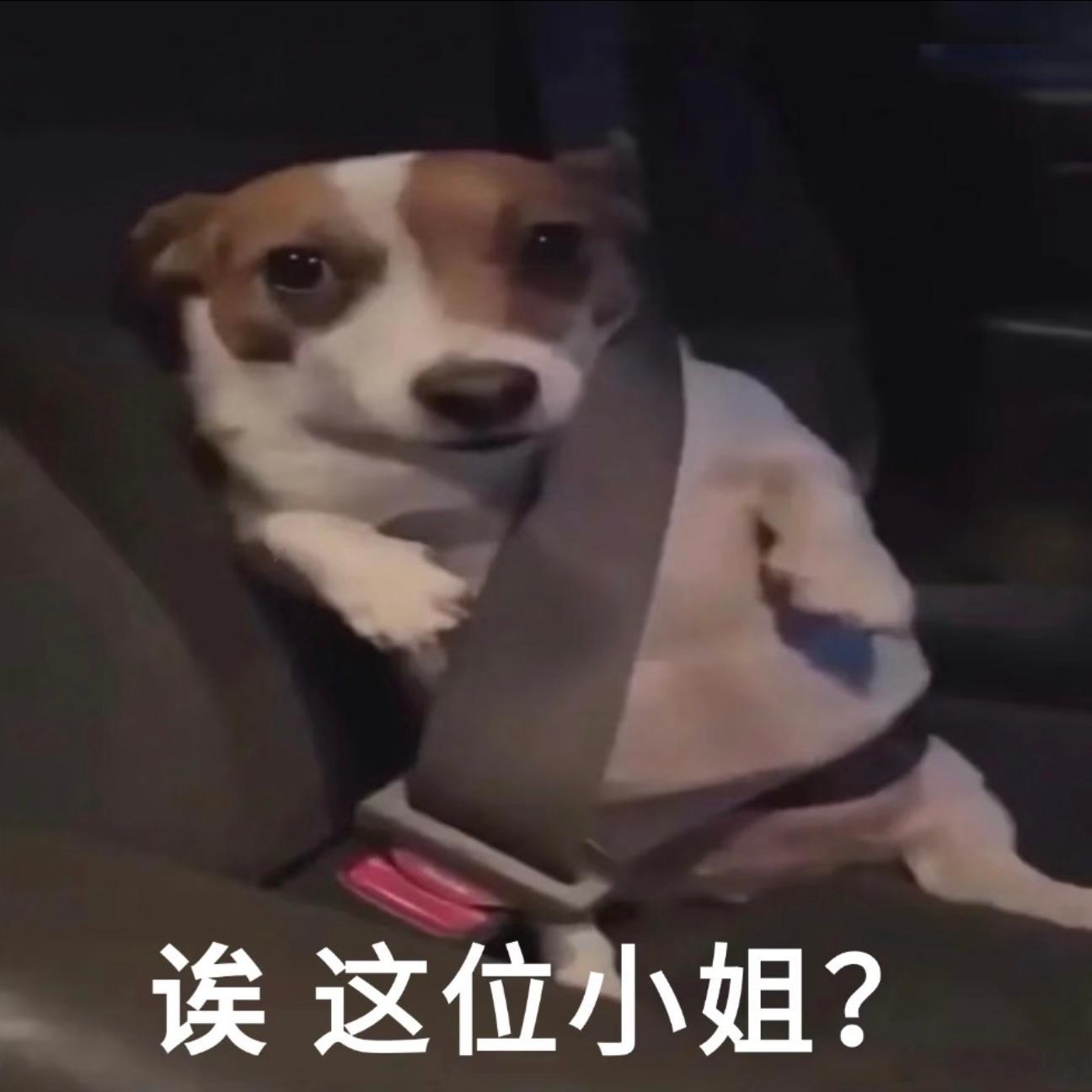 今天带小源和同事一起吃饭，上次那个问我有没有对象的女生，盯着小源夹菜的手臂夸他好