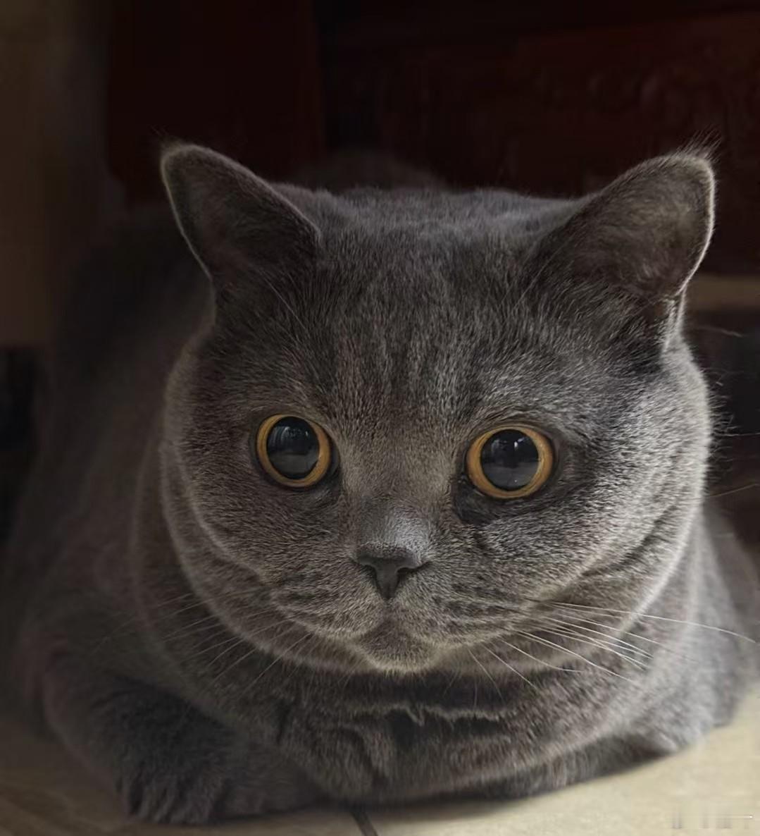 不用写作业真好[笑cry] ​​​