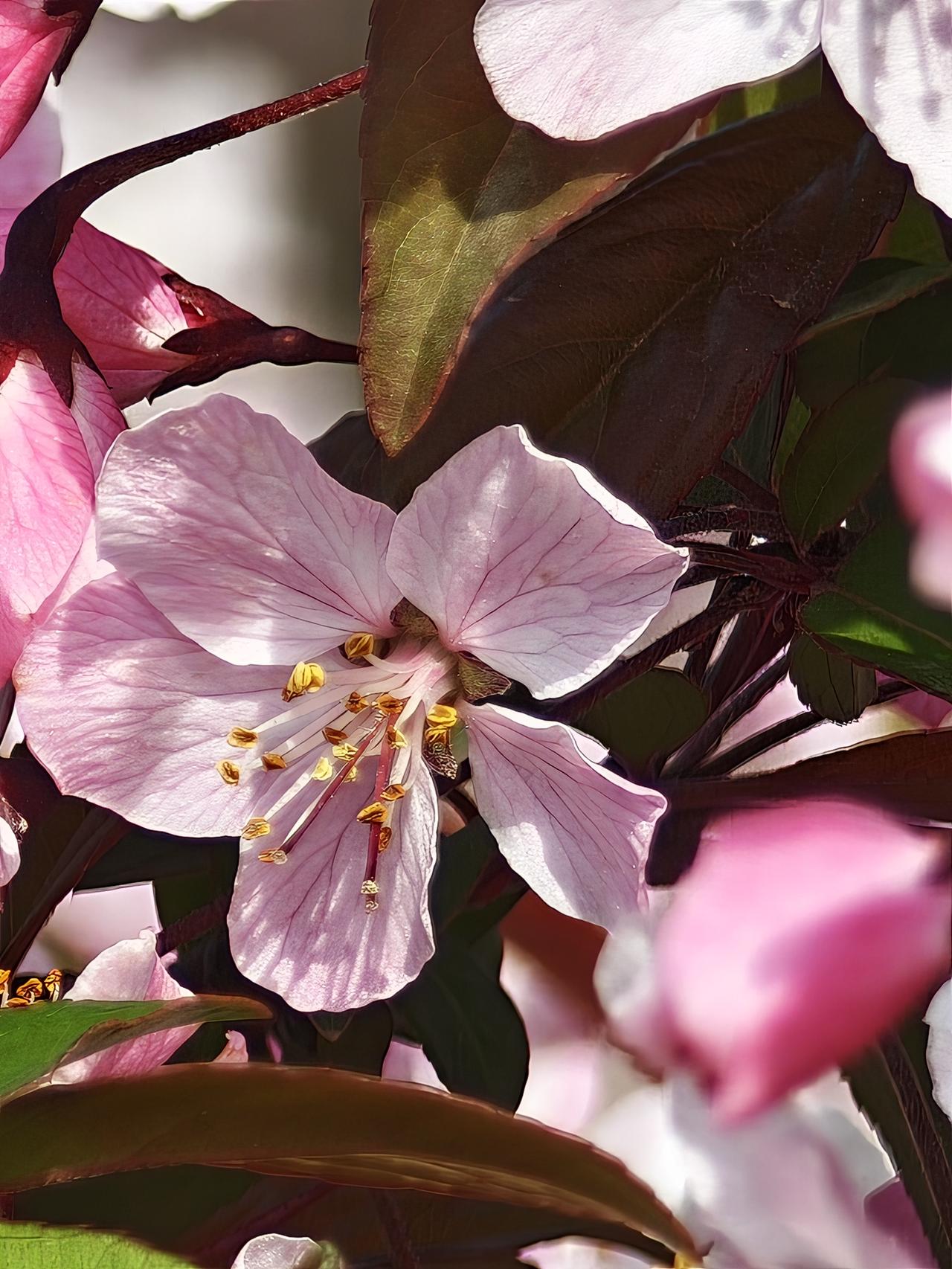 原有的习惯，在似乎消失后会卷土重来，只要我们放松一点点。并且重来的势头相当凶猛，