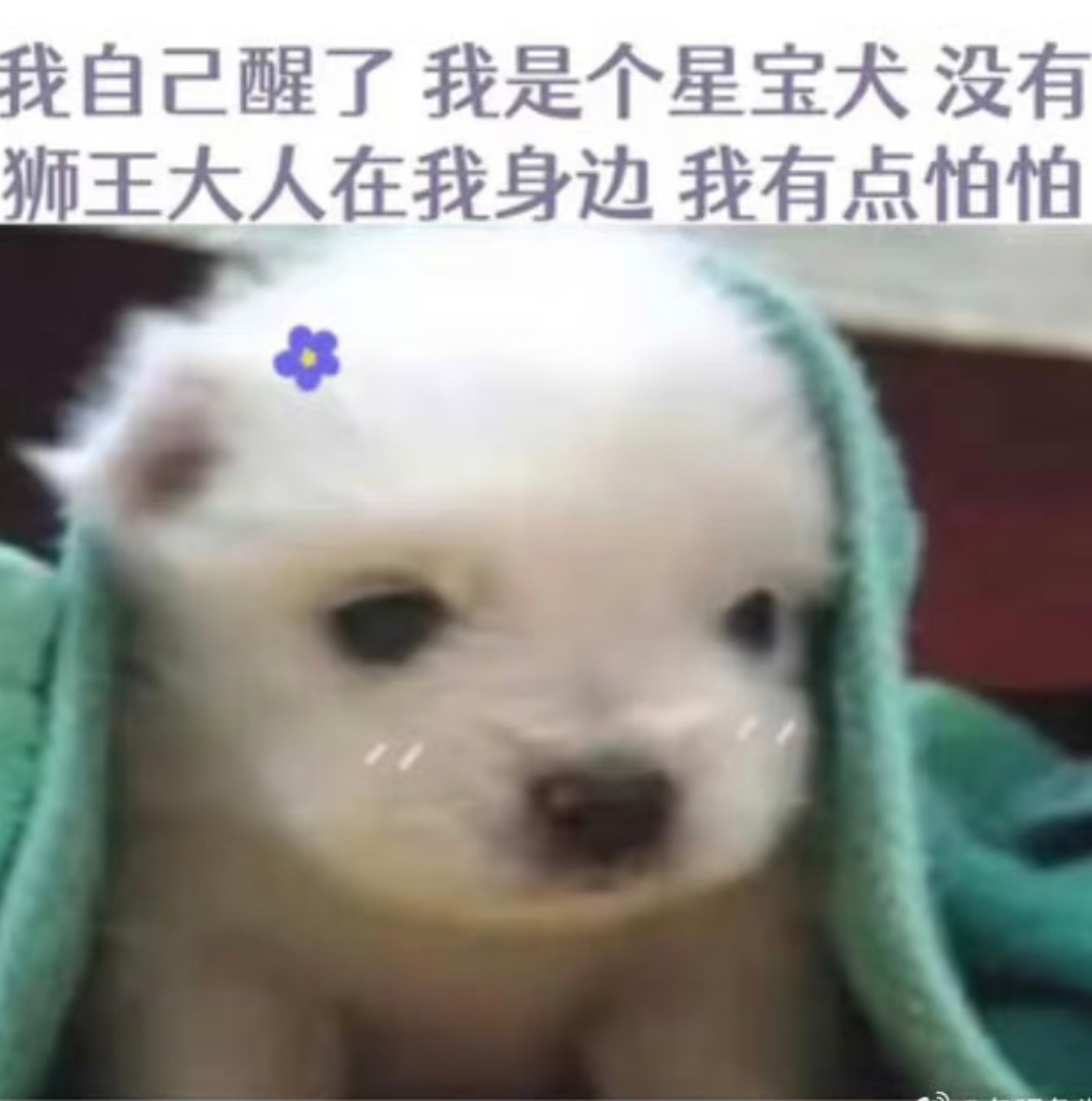 Hello World！ 