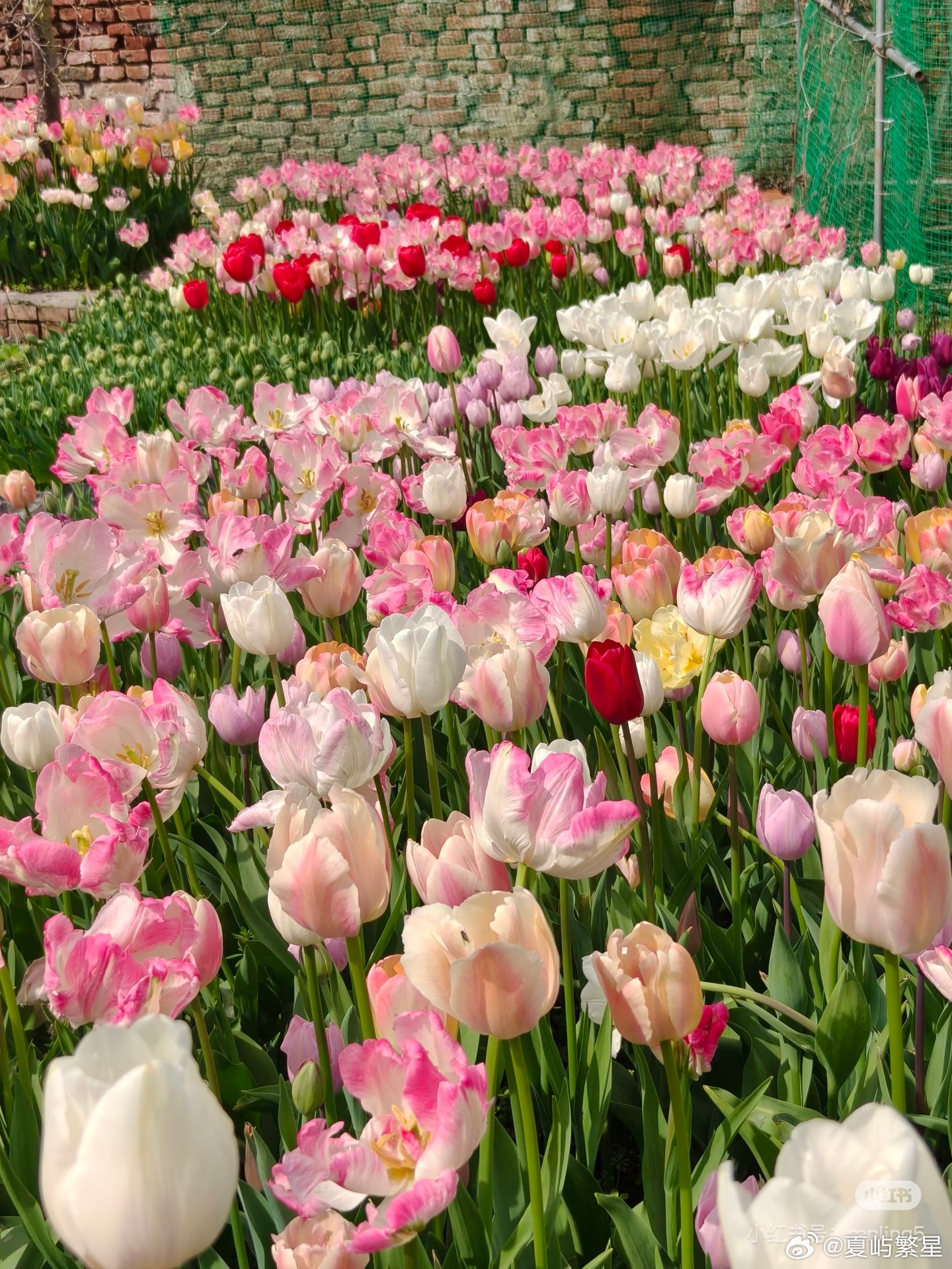 这就是读书的意义我的私人宝藏书单书评 万物皆是你，万物皆非你那年秋天，我坐了一趟