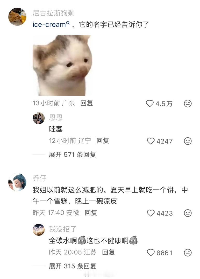 雪糕是糖油混合物具象化了被雪糕背刺了这可是我最喜欢的随便啊