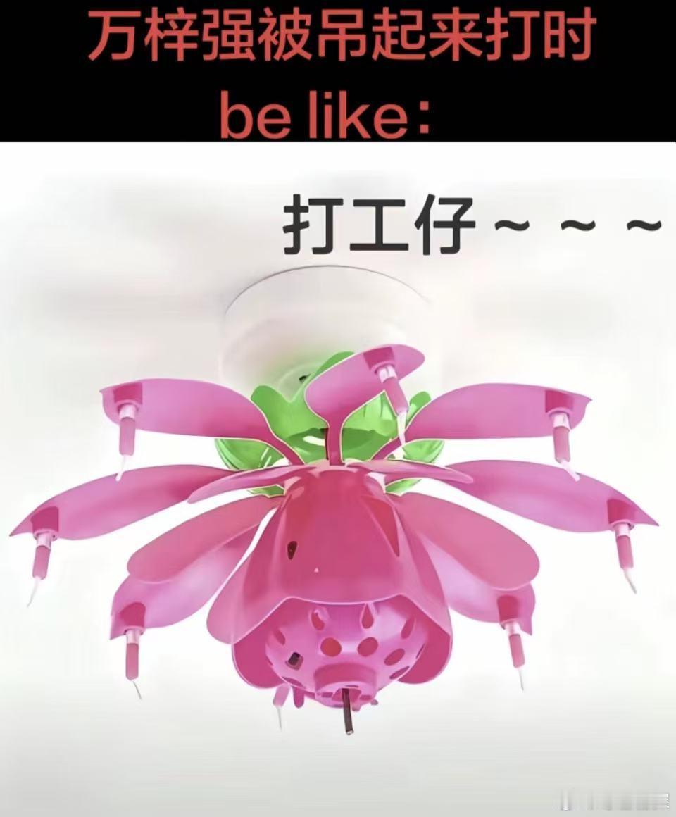 朱一龙空枪像关不掉的生日莲花灯荣哥百般折腾施压，万梓强全程没有半句求饶，嘴里的打