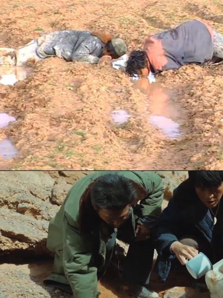 原来生命树这段这么还原电视剧生命树 看完这段真的被深深打动，没有刻意的煽情桥段，