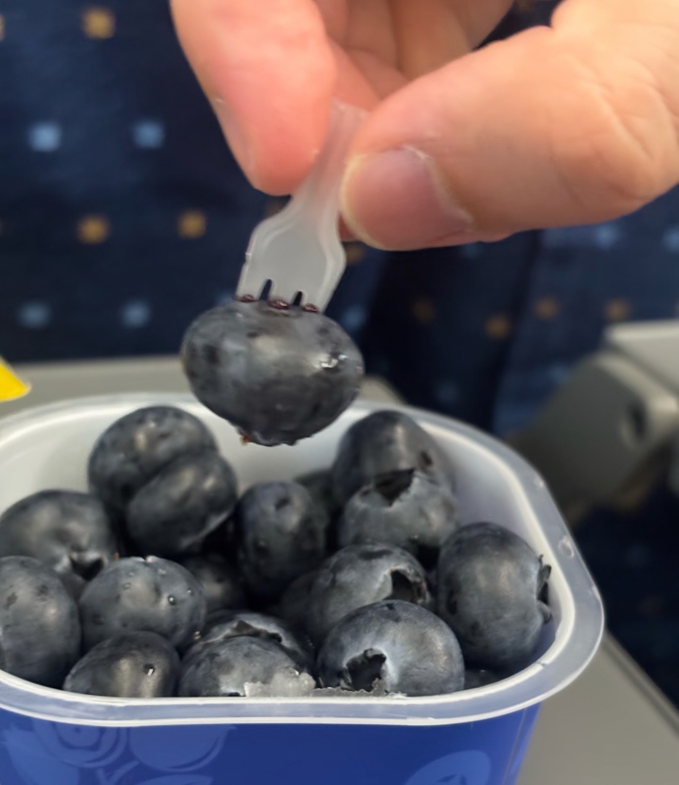 有没有爱吃蓝莓的 