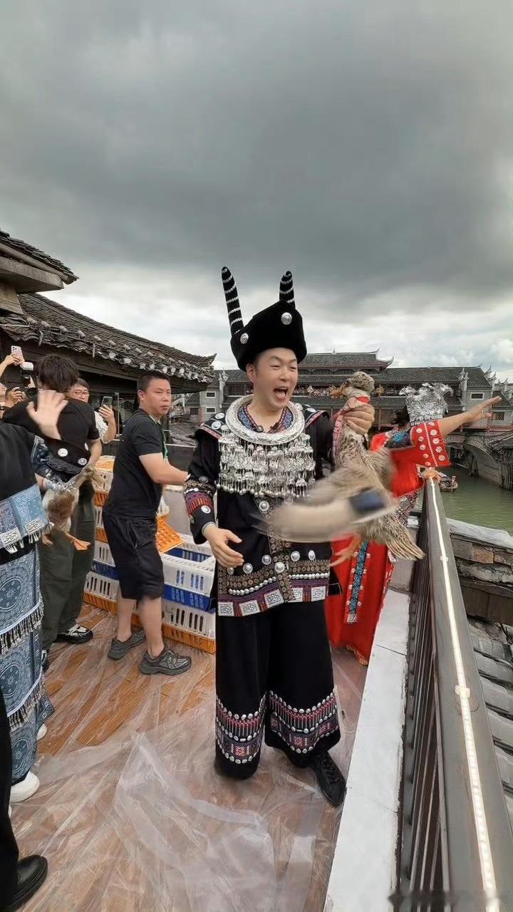 杜海涛也来凤凰古城抢鸭子大赛了湘西女婿杜海涛来凤凰古城了 500只活鸭齐刷刷投进