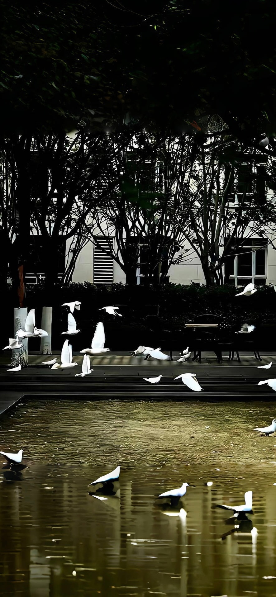 深色模式壁纸♟️ 