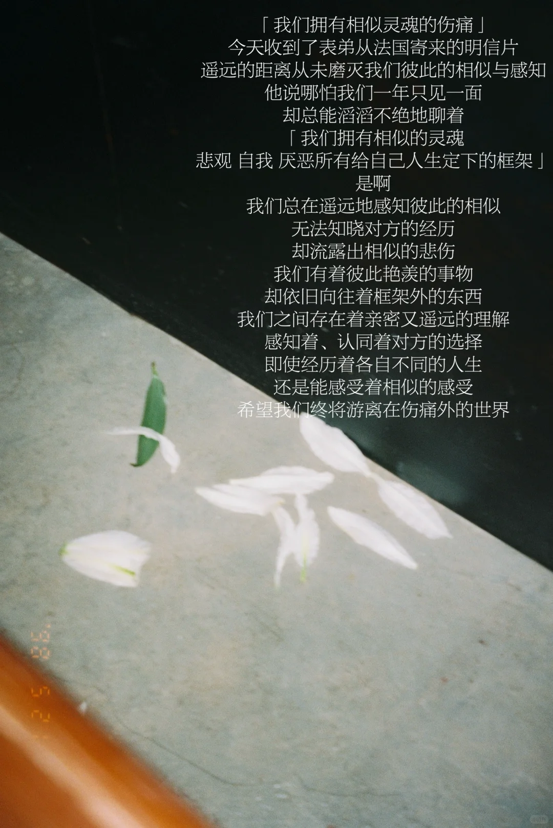 随笔｜我时常悲伤 也时常自我消解