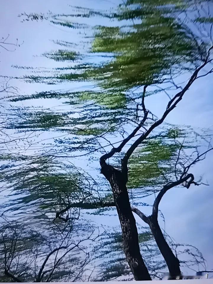 前几天出门赶早八，刚出单元门手里的早餐豆浆直接被掀飞，半杯热豆浆泼在卫衣上，剩下
