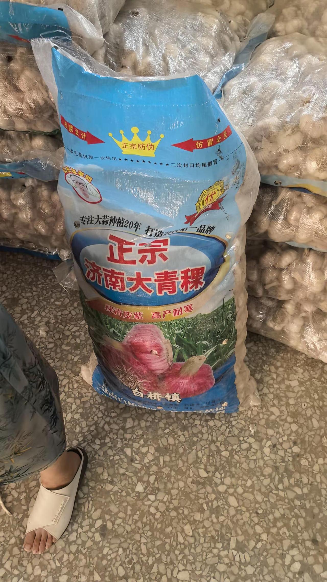 大蒜选种 不要对号入座反正说的不是你