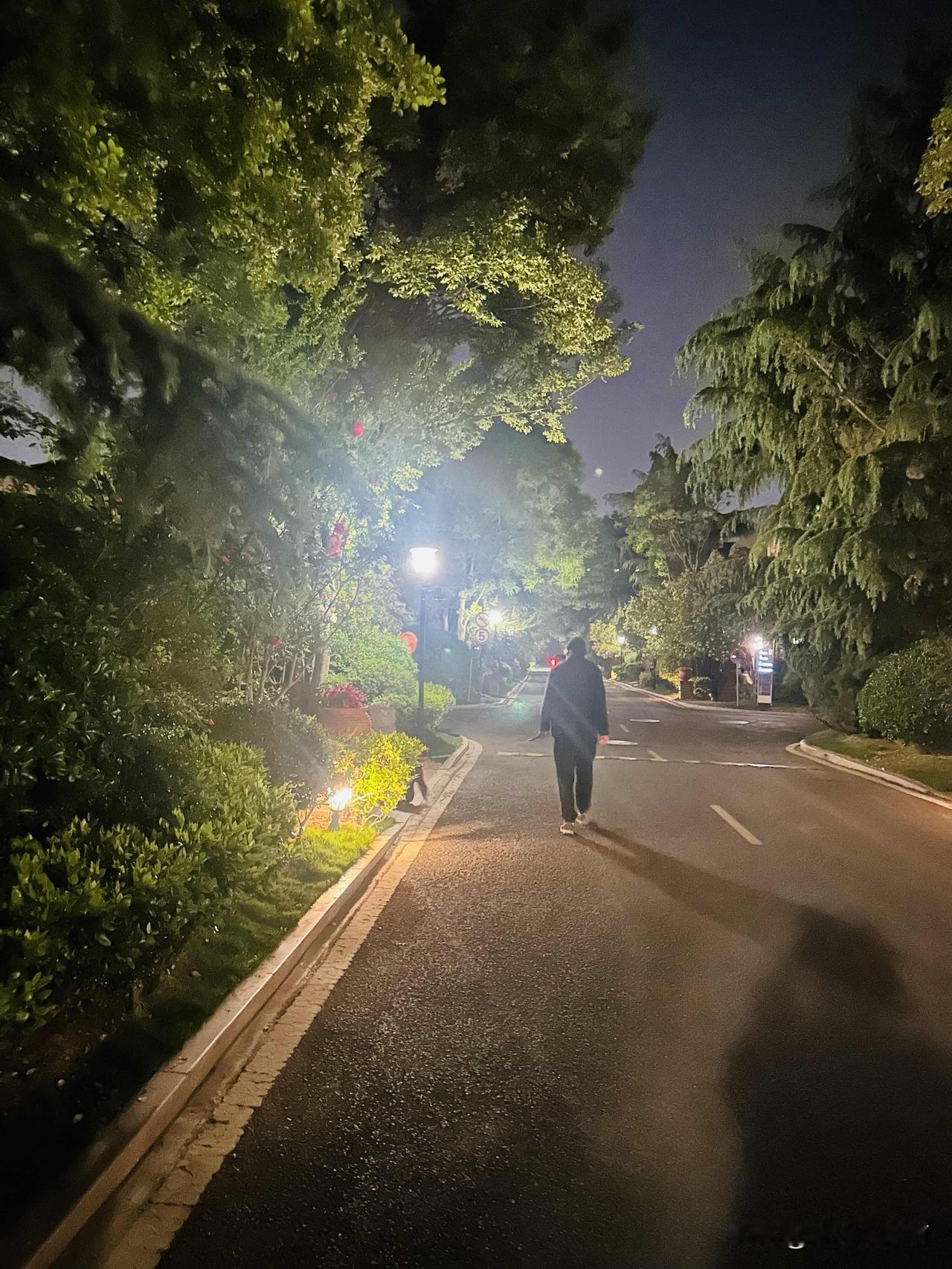 从未后悔过。
因为爱所以养，因为喜欢所以珍惜。
晚上先带着在小区里和小区外面溜达