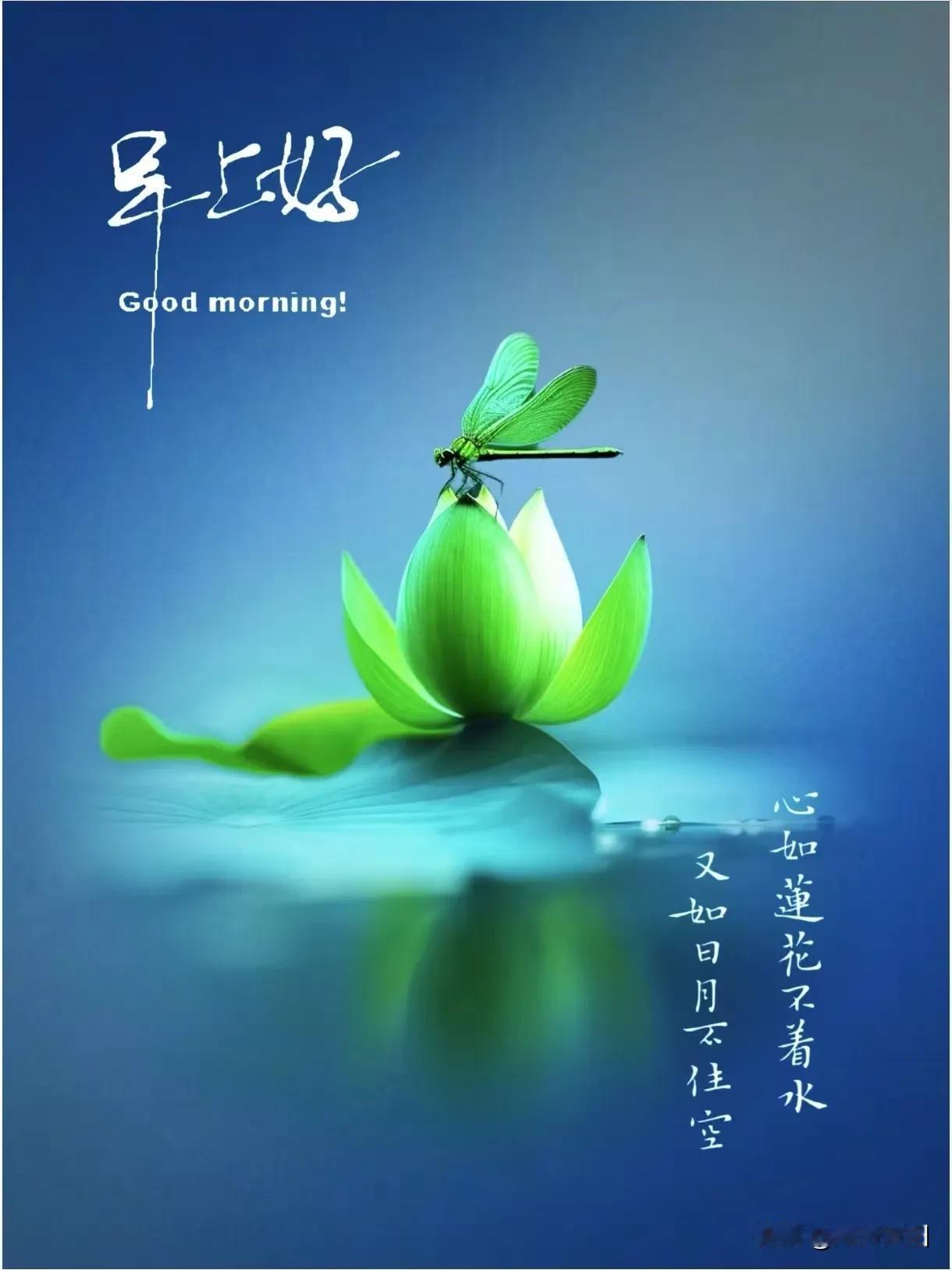 《采桑子·中伏》
（2026.7.25）

骄阳漫卷熏风烈，
暑气横空。
蝉噪林