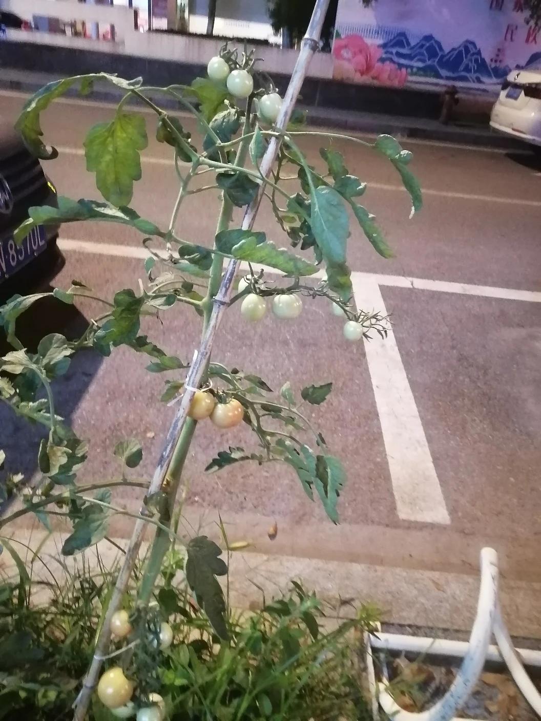 来过两次甘肃和大西北，看见甘肃那么缺水我真的难过，我在江浙沪这边风调雨顺，路边栽