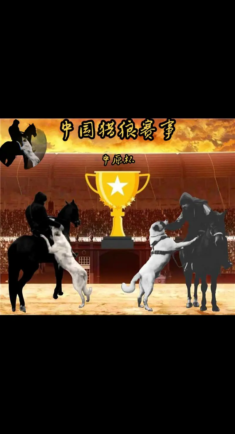 重新弄了一下不错高狼