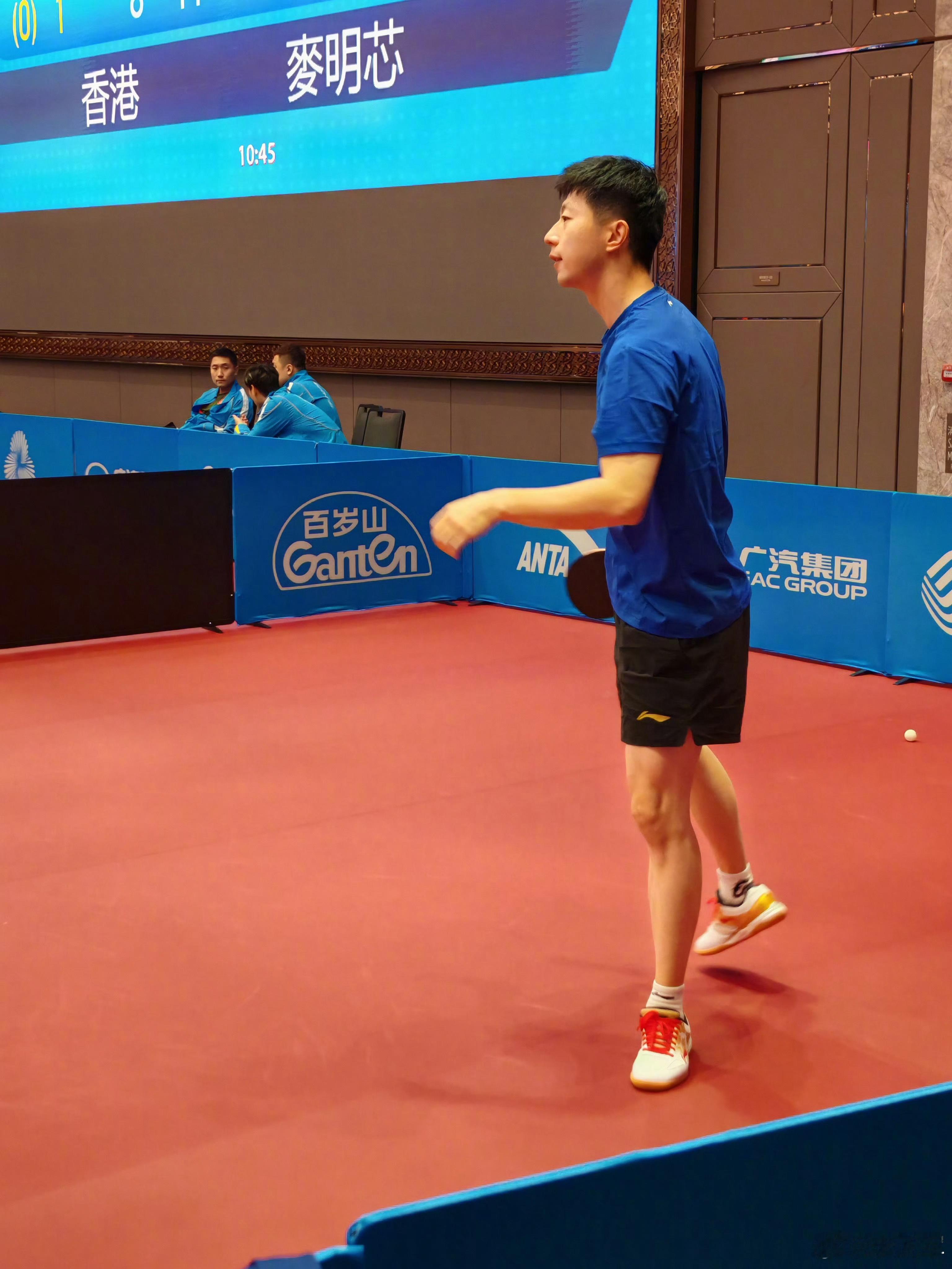 好可爱的猫猫，加油