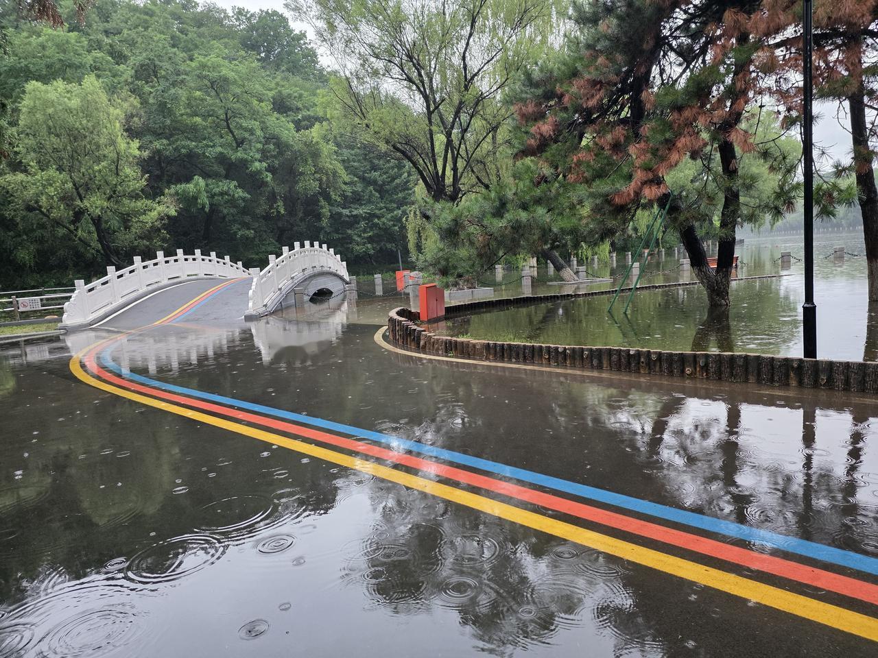 抚顺昨夜这场暴雨可太猛了，降雨量可能刷新历史记录！劳动公园的湖水猛涨，直接漫过两