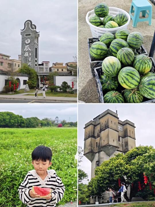 春游就村游！广州摘西瓜🍉骑行的百年古村