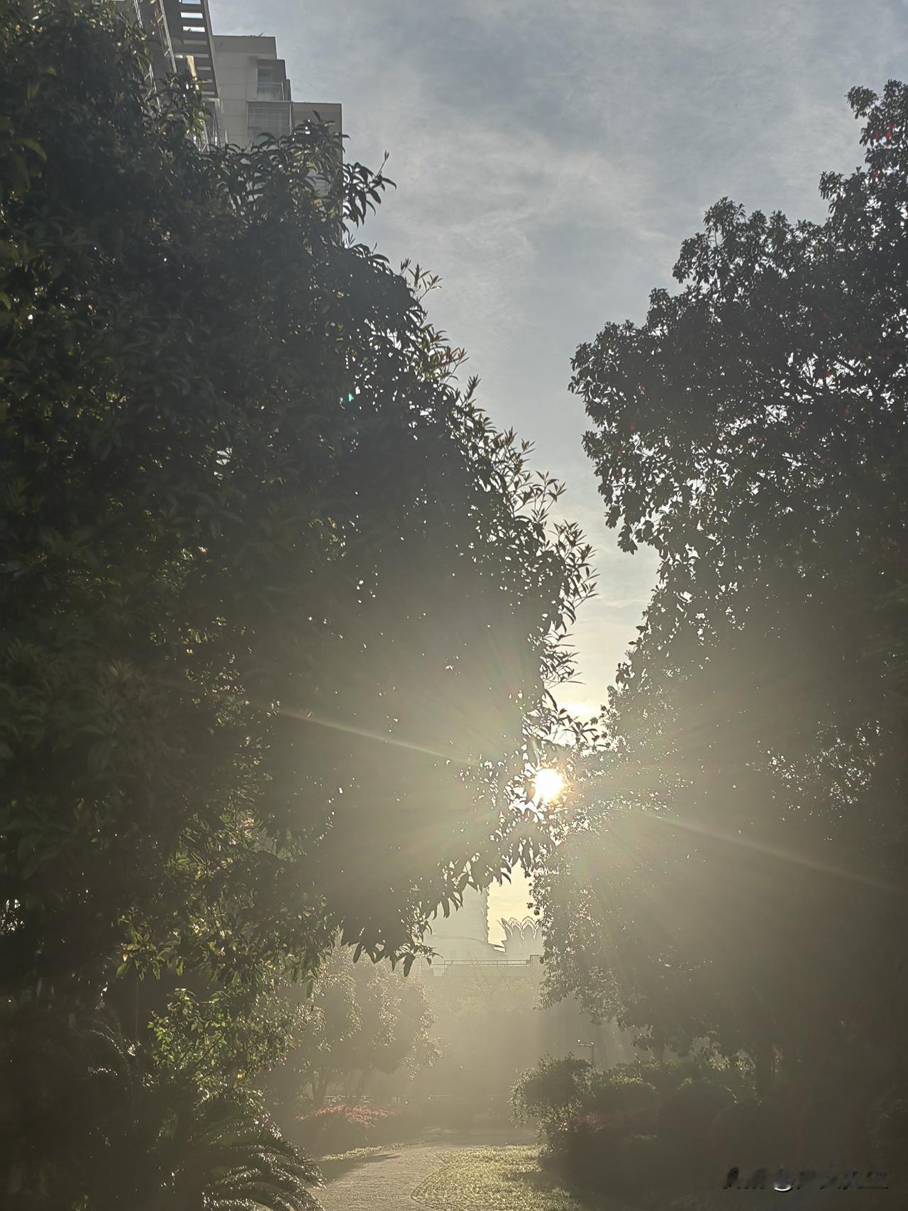 你知道吗？这是清晨几点的阳光。
太阳每天都是新的，日子每天都在重复，你我每天都为